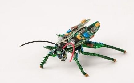 pcb